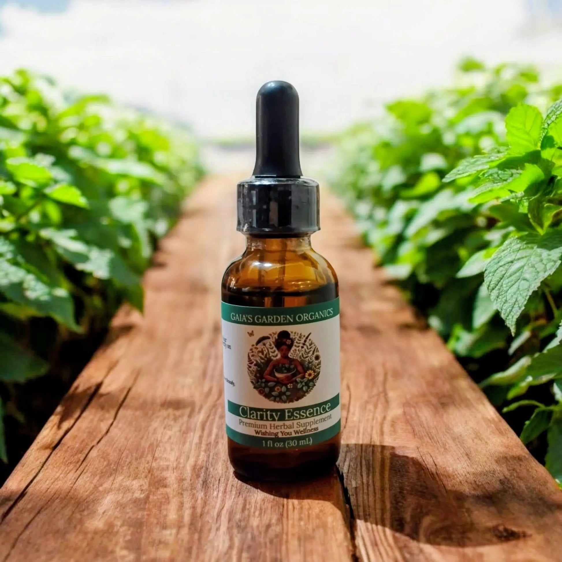 Organic Flower Essences - Handcrafted from Our Arkansas Garden